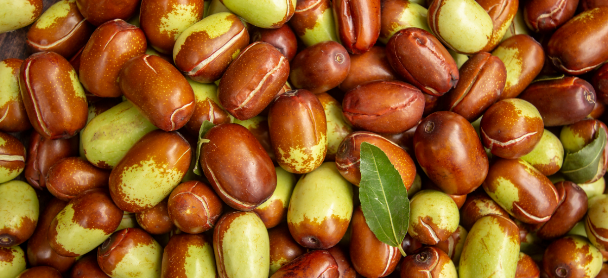 Ingredients - Jojoba